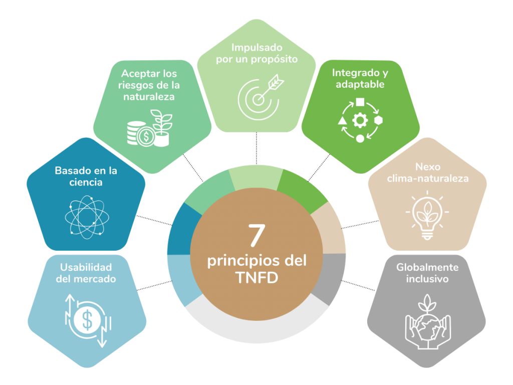 7 principios del TNFD